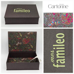 Coffret pour gazettes Indien